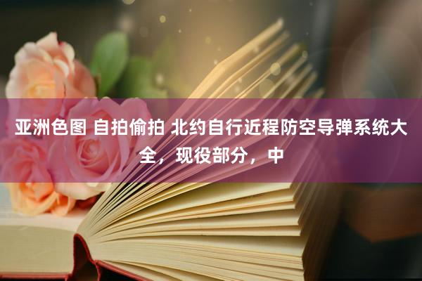 亚洲色图 自拍偷拍 北约自行近程防空导弹系统大全，现役部分，中