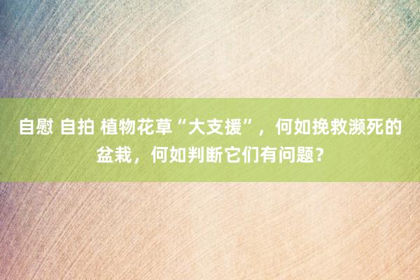 自慰 自拍 植物花草“大支援”，何如挽救濒死的盆栽，何如判断它们有问题？