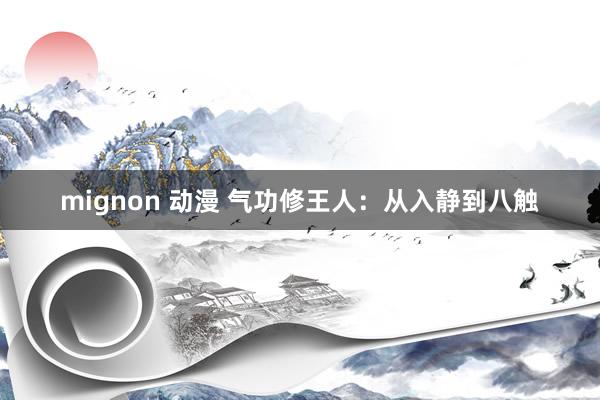 mignon 动漫 气功修王人：从入静到八触