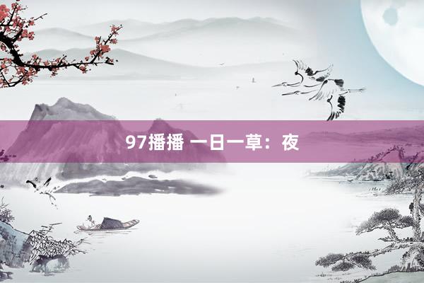 97播播 一日一草：夜